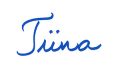 Terveisin Tiina